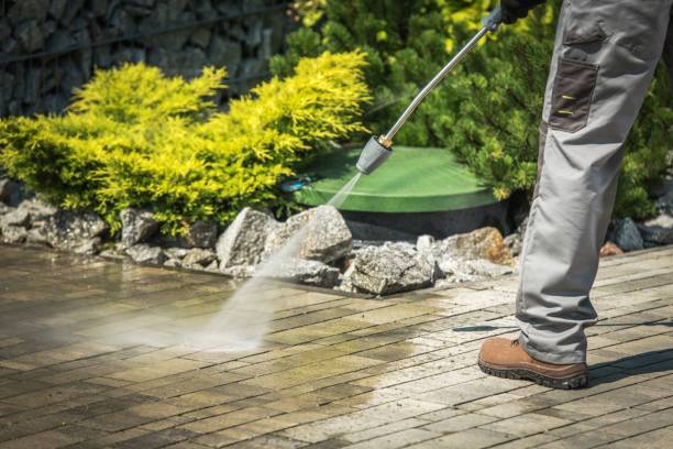Best House Exterior Washing  in Christopher, IL