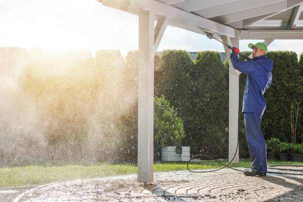 Best Patio and Deck Pressure Washing  in Christopher, IL