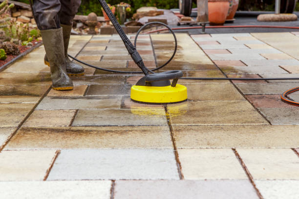 Best Rust Removal  in Christopher, IL